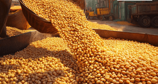 Export News 
