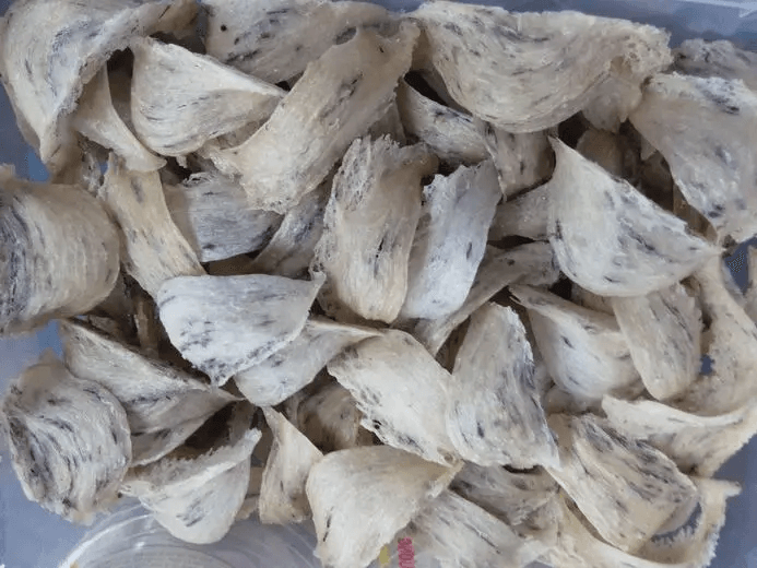 export bird's nest