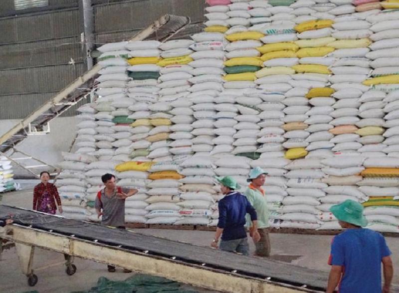 Latest export news